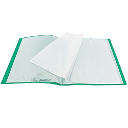 папка  40 файлов 500мкм зелёная