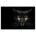 Обложка на паспорт "Чёрная кошка" ПВХ