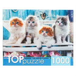 пазлы 1000 элементов котята скоттиш фолд