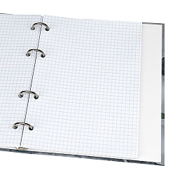 тетрадь на кольцах  80л  "тихая природа"