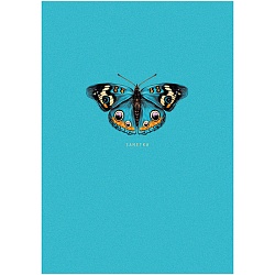 книга для записей а6 (110*145) 64л бабочка  обложка матов.ламинация выб. лак блёстки