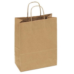 пакет подарочный 22*12*25см крафт с крученной ручкой