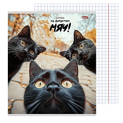 тетрадь  48л кл. "забавные коты-4" обложка цветная мелованная