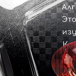 тетрадь предметная  48л кл алгебра "самоцвет" твин-лак