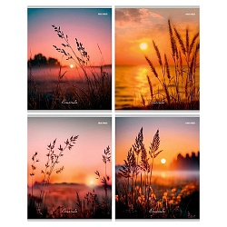 тетрадь  96л лин. "природа и солнце" обложка цвет. мелов.