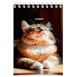 Блокнот А6  40л "Солнечные котики" ассорти,  на гребне