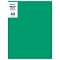 папка  40 файлов 500мкм зелёная