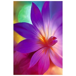 книга для записей а6 (110*145) 64л вдохновение! обложка ламинация chameleon