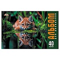 Альбом для рисования 40л. на скрепке "Дикий котёнок"