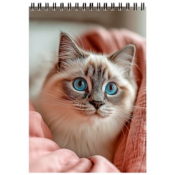 Блокнот А5  80л "Уютные котики-2" на гребне