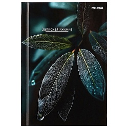 книжка записная  а6  64л "листья-1" 7бц, глянц.лам.