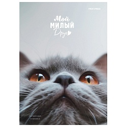 книжка записная  а5  80л "мой милый друг" на спирале