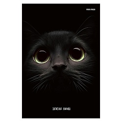 книжка записная  а5 160л "взгляд кота" 7бц