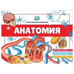 3d энциклопедия-панорамка. анатомия