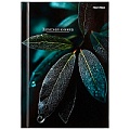 Книжка записная  А6  64л "Листья-1" 7БЦ, глянц.лам.