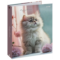 тетрадь на кольцах  80л  "светлый котёнок и цветы"