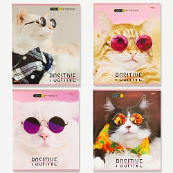 тетрадь  48л кл. "котики в очках" обложка цветная мелованная