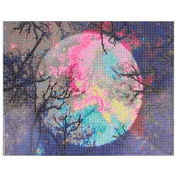 алмазная живопись  40*50см  луна