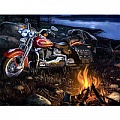 Алмазная  живопись "Darvish" 30*40см Мотоцикл в свете огня