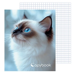тетрадь на кольцах  80л  "голубоглазая кошка"