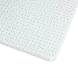 тетрадь  48л кл. "яишенка" обложка уф-лак, конгрев