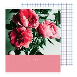 тетрадь  48л кл. "цветочный сад" обл. мелов. картон