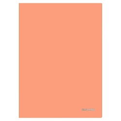 папка-уголок а4 180мкм, цвет персиковый