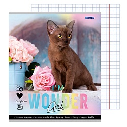 тетрадь  48л кл. "очаровательные котики-1" обложка цветная мелованная