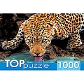 Пазлы 1000 элементов Красивый леопард
