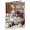 книжка записная  а7  64л "милые котята-6" 7бц, глянц.лам.