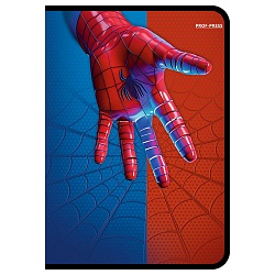 пенал 1отдел. 190*115мм спайдер синий