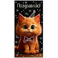 Открытка-конверт  Dream Cards "Поздравляю!" (рыжий котик)