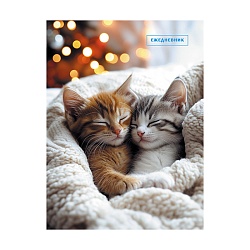 ежедневник недатированный  а6  48л. "спящие котята" обложка мел. картон