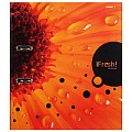 Папка -регистратор с арочным механизмом А4  IFRESH-цветок 70мм