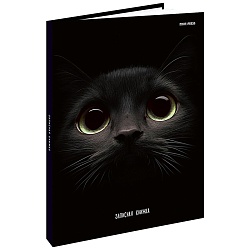 книжка записная  а5 160л "взгляд кота" 7бц