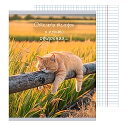 тетрадь  48л кл. "расслабься" обл. мелов. картон глянцевая ламинация