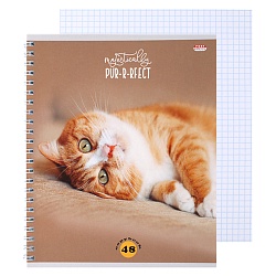 тетрадь  48л кл. на гребне "мурчащие котики"