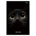 Книжка записная  А5 160л "Взгляд кота" 7БЦ