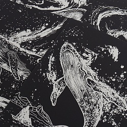 гравюра киты