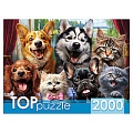 Пазлы 2000 элементов Селфи пушистых друзей