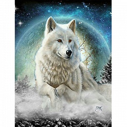 набор  для творчества "рисование по номерам" 40*50см  белый волк