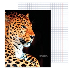 тетрадь  48л кл. "животные" обложка картон