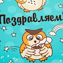 открытка -конверт  "поздравляем! совы"