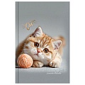 Книжка записная  А6  64л "Котёнок с клубком" 7БЦ, глянц.лам.