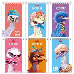 Блокнот А6  60л "Модные страусы" на гребне