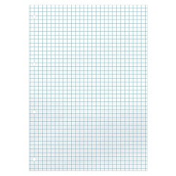 сменный блок для тетрадей на кольцах  а5  80л. белый