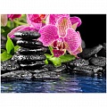 Алмазная живопись 40*50см  Орхидея у воды