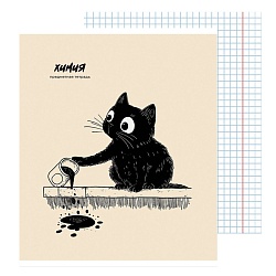 тетрадь предметная  48л кл химия "bad cat" 