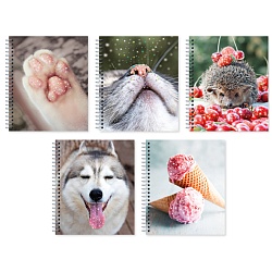 тетрадь  48л кл. на гребне "блестящие и милые" обл. мелов. кар. выбор. лак , блёстки