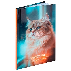 книжка записная  а6  48л "фото котика-1" 7бц  глянц.ламин.
